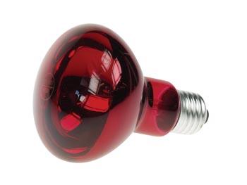 Lampe e27 230v 60w couleur rouge r80