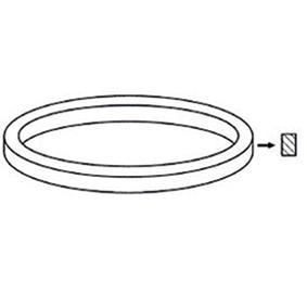 Courroie plate diametre : 97.5 x 0.77 x 8mm -