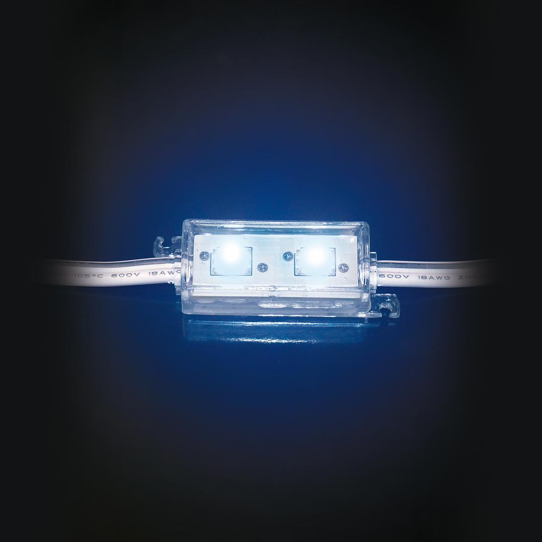 Module 2 x led haute luminosité bleu alim : 12v 40ma ip65