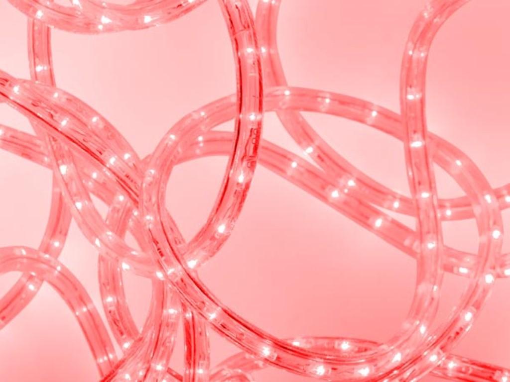 Flexible lumineux roug a leds d= 13mm  -l= 9m alim:230ve