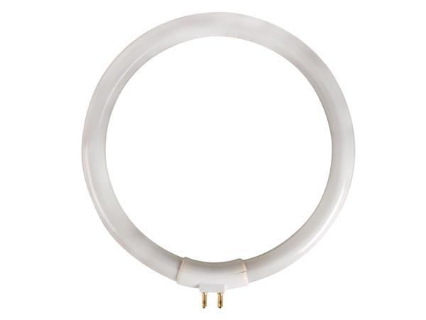 Tube circline 12w 230v 6400°k 600 lumens