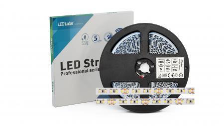 Ruban leds flexible 12v blanc froid 120leds/m 3528 12w/m ip65