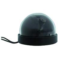 Caméra mini dome noir et blanc 90 x 65mm alim: 6 à 12vcc